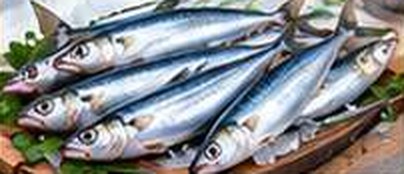 Sardine
