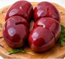 Kidney
