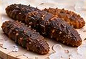 Sea Cucumber