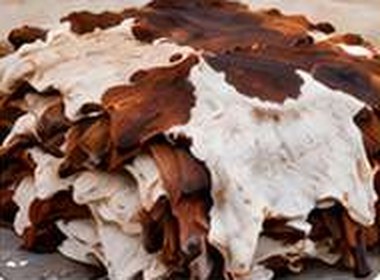 Goat Skin