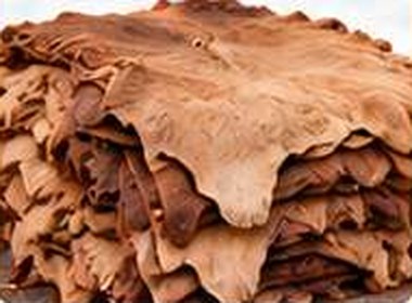Camel Hide
